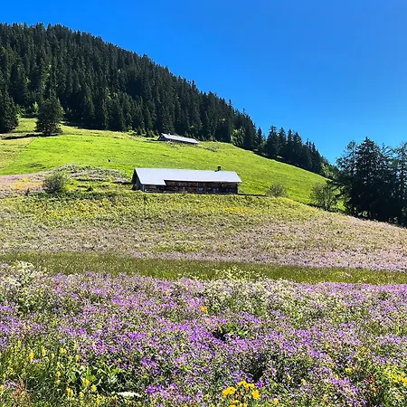 D'alpage A Prafandaz - Appartement Leysin